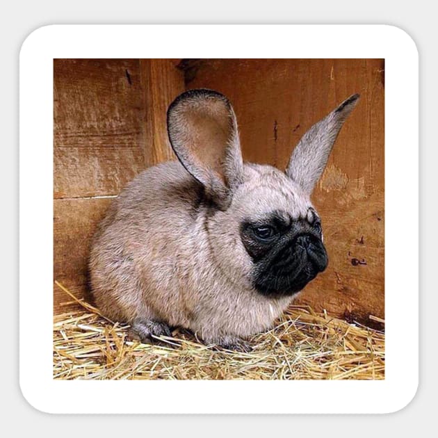 Pug Bunni Sticker by unfriended